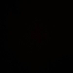 Meet your Posher, Karla